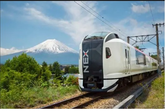 Treno Narita Express verso Tokyo