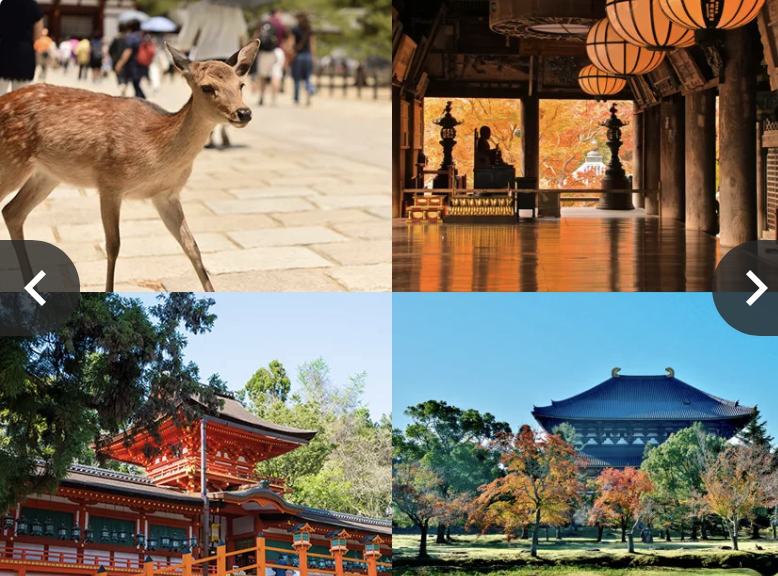 Nara i cervi in libertà e antichi templi. 